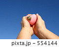 ｆ1247