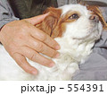 犬を撫でるシニアの手