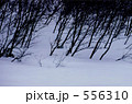 556310