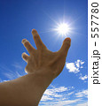 太陽に伸ばす手