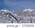 雪のりんご園