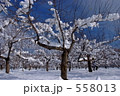 雪のりんご園