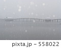 鶴の舞橋　雪降る