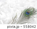 ピーコック