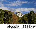 彦根城遠景