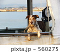 船の番犬