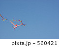 青空に上がるカイト