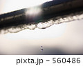 560486