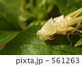 燃え尽き症候群２