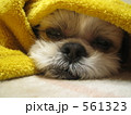 ぬくぬく