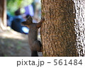 素材ナンバー 561484 : 「無題」