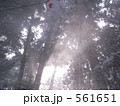 風と雪