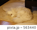 563440