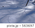 雪の命