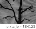 564123