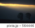 564446