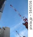 564556
