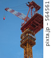 564561