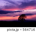 564716