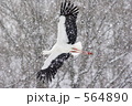 564890