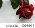 薔薇一輪