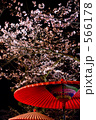 兼六園 桜のライトアップ