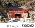 紅梅の咲く鎌倉荏柄天神社