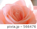 566476