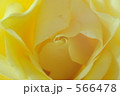 566478
