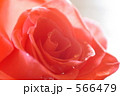 566479