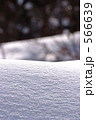 粉雪降る