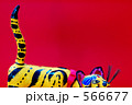 566677