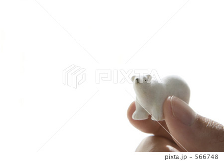 「白熊と手」の写真素材