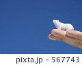 青空と白熊