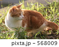 むむっ