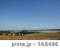 美瑛・ざわざわ村