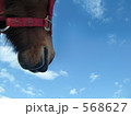568627
