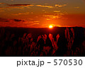 すすきと夕陽