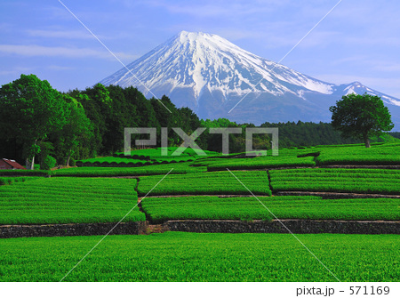 mt223-3003 mt223-3003