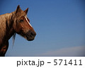 かんだちめ