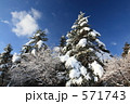 冬晴の日