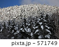 雪景色