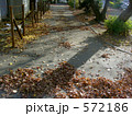 木枯らしの路