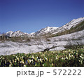 白馬三山と水芭蕉の花