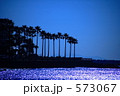 椰子の木と海