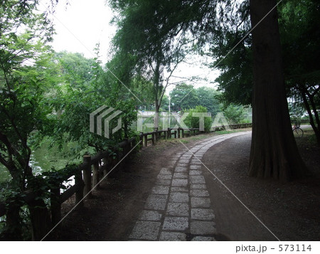 「石神井公園」の写真素材 「石神井公園」の写真素材