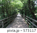 石神井公園