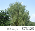 石神井公園
