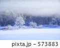 雪原の樹氷とけあらし