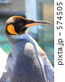 ペンギン